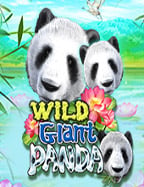 สูตรเสือมังกร 2020 ฟรี ที่ควรรู้ก่อนเล่น